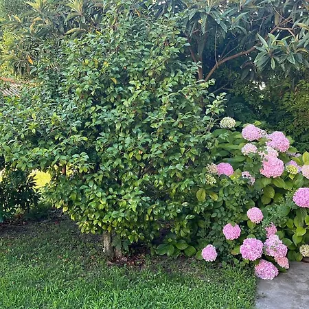 Glicine Con Bagno Privato * Castellero