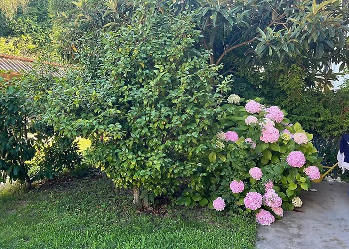 Glicine Con Bagno Privato * Castellero